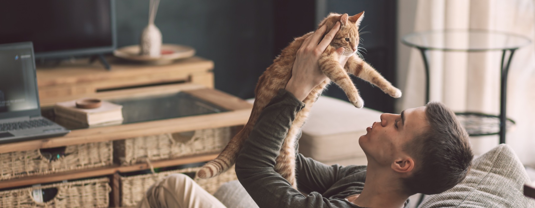 man holding cat in the air